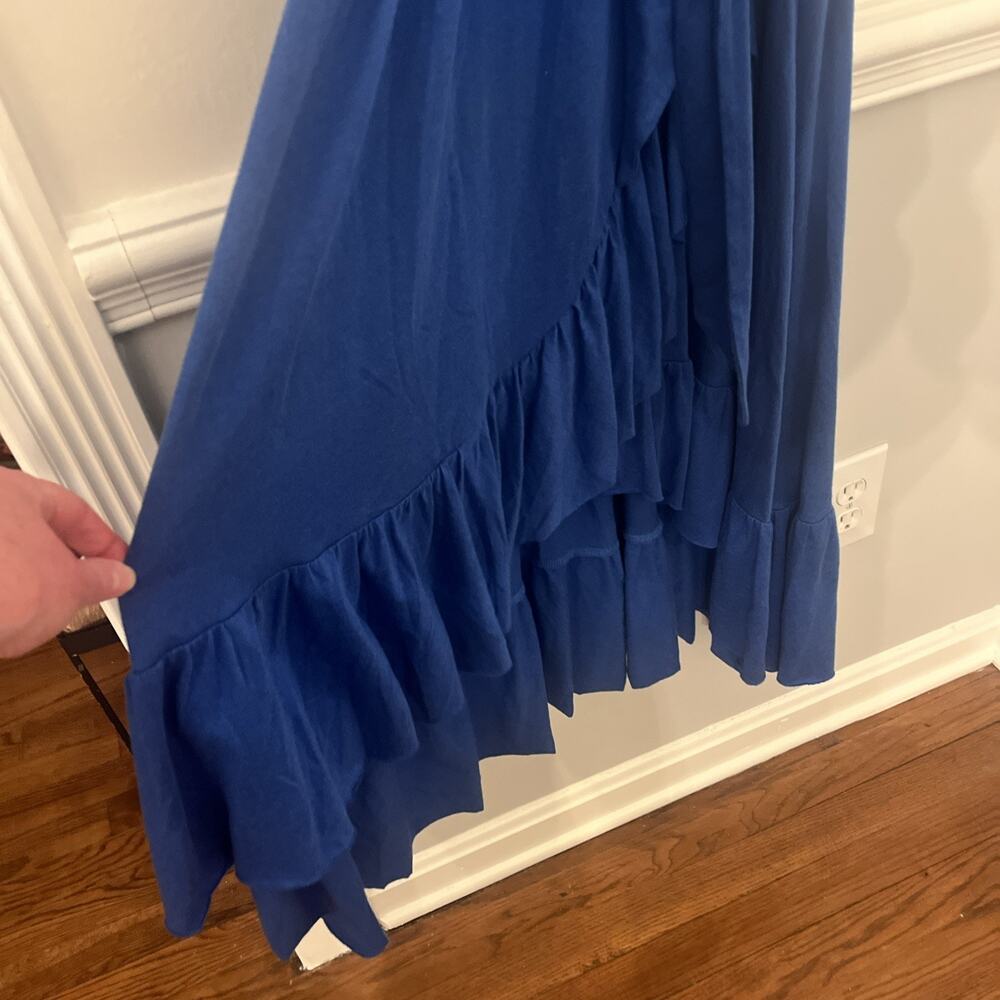 Soft Surroundings Springtime Ruffleneck Dress Medium Blue - Picture 5 of 11